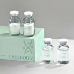 Lysosome