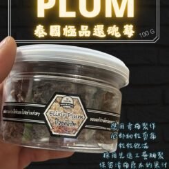 泰國極品還魂梅