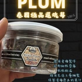 泰國極品還魂梅
