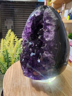 紫水晶龍旦